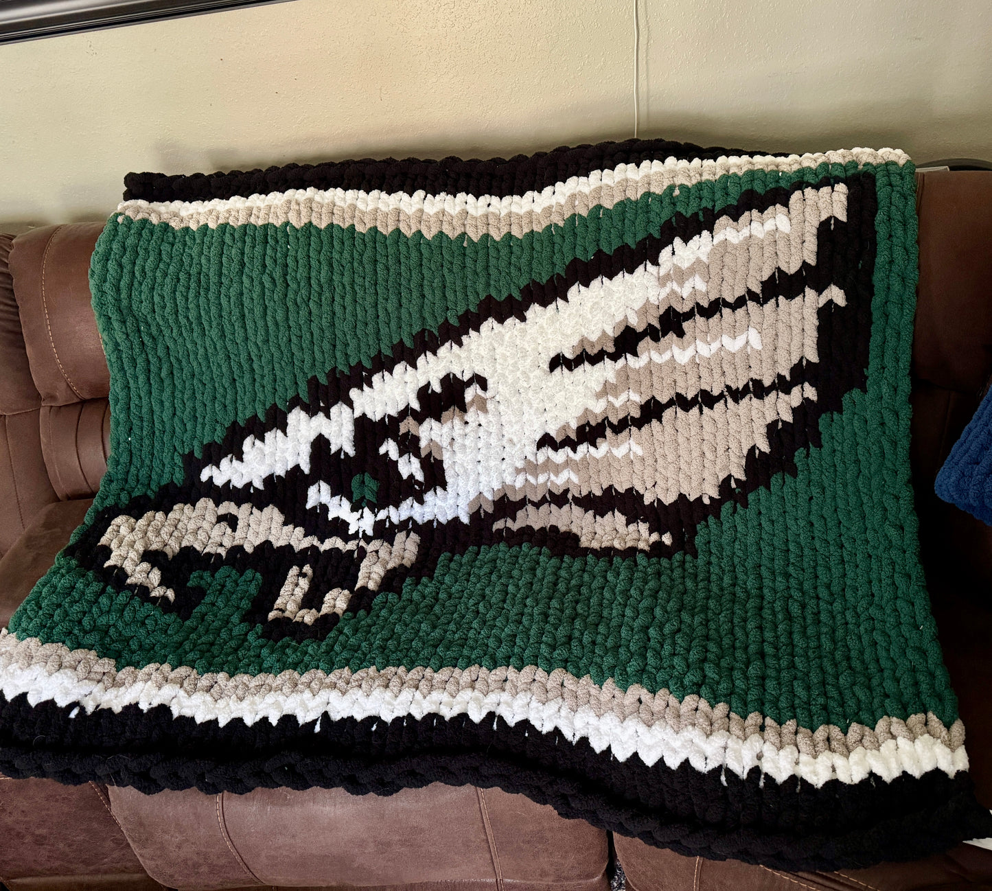 Philadelphia Eagles Chunky Hand Knit Blanket.